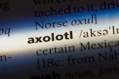 amfibi Word'de bir sözlük. amfibi kavramı.