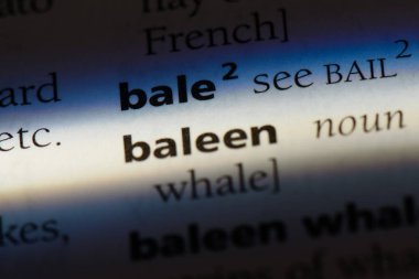 Bale Word'de bir sözlük. Bale kavramı.