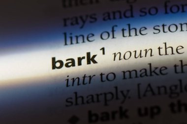 bir sözlüğü'ndeki sözcüğü kabuk. kabuk kavramı.