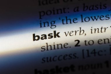 bir sözlüğü'ndeki sözcüğü güneşlenmek. kavram güneşlenmek.