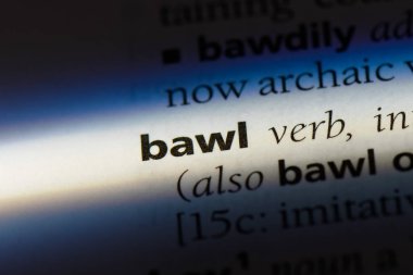 bir sözlüğü'ndeki sözcüğü azarlıyorsun. kavram haykırmak.