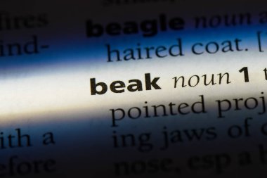 Gaga Word'de bir sözlük. Gaga kavramı.