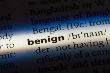 iyi huylu tek kelimeyle bir sözlük. iyi huylu kavramı.