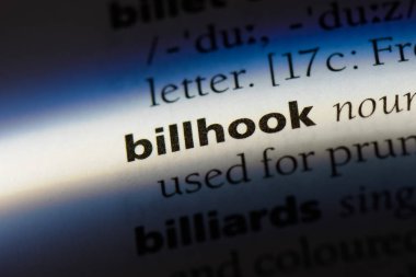 billhook sözcük sözlüğe. billhook kavramı.