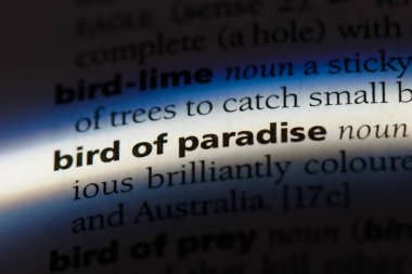 cennet kuşu Word'de bir sözlük. cennet kuşu kavramı.