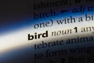 kuş Word'de bir sözlük. kuş kavramı.