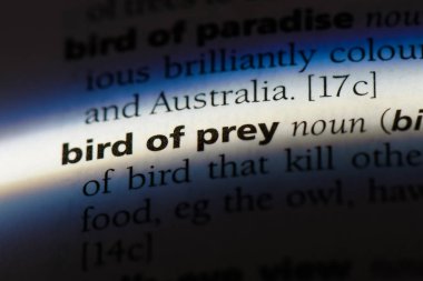 pray kelimenin Sözlükteki kuş. kuş dua kavramı.