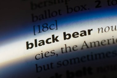 siyah ayı Word'de bir sözlük. siyah ayı kavramı.