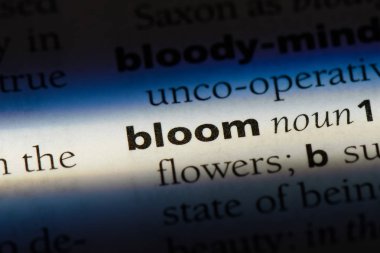 Bloom Word'de bir sözlük. Bloom kavramı.
