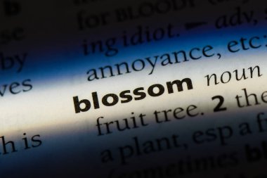 çiçeği Word'de bir sözlük. çiçeği kavramı.