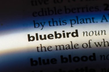 mavi kuş Word'de bir sözlük. mavi kuş kavramı.