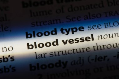 kan damarı Word'de bir sözlük. kan damarı kavramı.