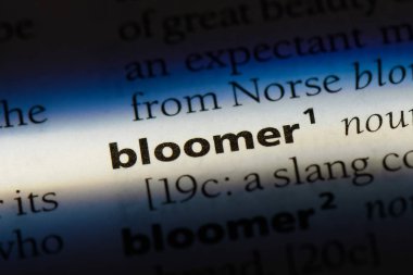 gaf Word'de bir sözlük. gaf kavramı.