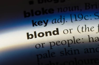 sarışın tek kelimeyle bir sözlük. sarışın kavramı.