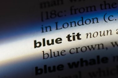 mavi baştankara Word'de bir sözlük. mavi baştankara kavramı.