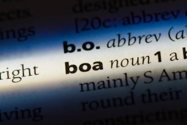 Boa Word'de bir sözlük. Boa kavramı.
