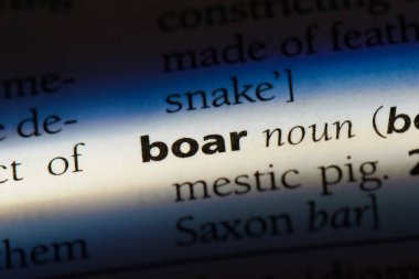yaban domuzu Word'de bir sözlük. yaban domuzu kavramı.