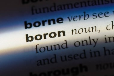 Bor Word'de bir sözlük. Bor kavramı.