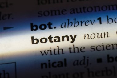 Botanik Word'de bir sözlük. Botanik kavramı.