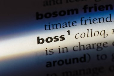 bir sözlüğü'ndeki patron sözcüğü. Patron kavramı.