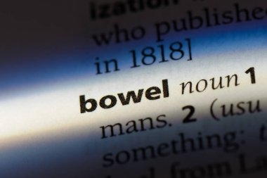 Sözlükte bağırsak kelimesi. bağırsak konsepti.