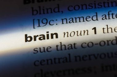 beyin Word'de bir sözlük. beyin kavramı.