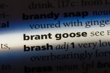 Brant bir sözlüğü'ndeki sözcüğü kaz. Brant kaz kavramı.