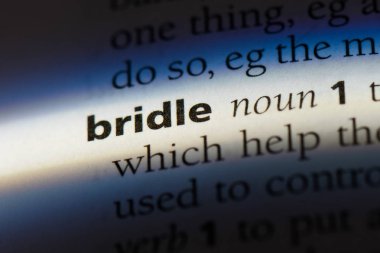 bir sözlüğü'ndeki sözcüğü dizgin. dizgin kavramı.