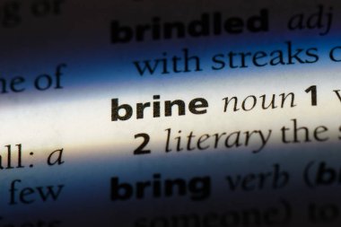 tuzlu su Word'de bir sözlük. tuzlu su kavramı.