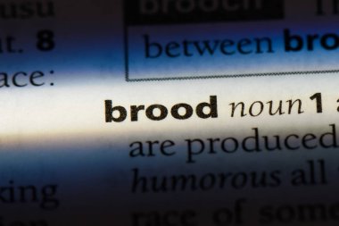 damızlık tek kelimeyle bir sözlük. damızlık kavramı.