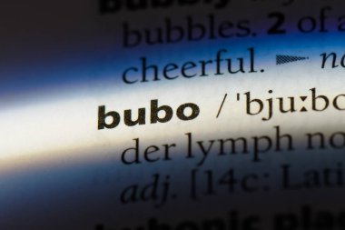Bubo Word'de bir sözlük. Bubo kavramı.