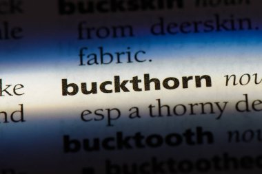 cehri Word'de bir sözlük. cehri kavramı.