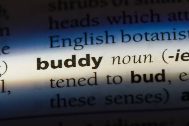 dostum tek kelimeyle bir sözlük. dostum kavramı.