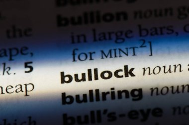 Bullock Word'de bir sözlük. Bullock kavramı.