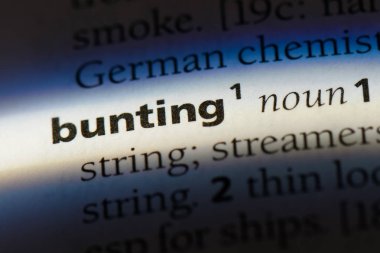 kiraz kuşu Word'de bir sözlük. kiraz kuşu kavramı.