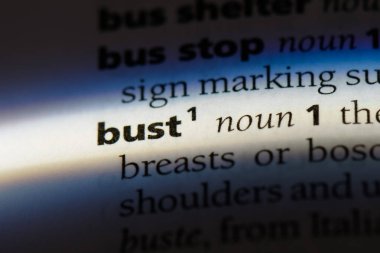 bir sözlüğü'ndeki büstü sözcüğü. baskın kavramı.