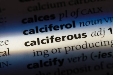 calciferous tek kelimeyle bir sözlük. calciferous kavramı.