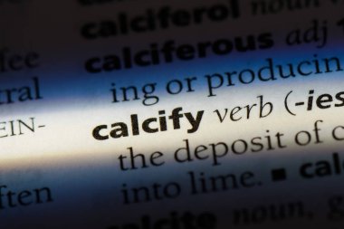 bir sözlüğü'ndeki sözcüğü calcify. kavram calcify.