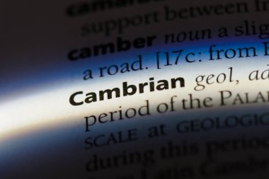 Kambriyen tek kelimeyle bir sözlük. Kambriyen kavramı.