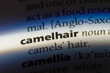 camelhair sözcük sözlüğe. camelhair kavramı.