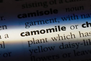 papatya Word'de bir sözlük. papatya kavramı.