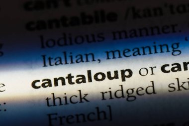 cantaloup sözcük sözlüğe. cantaloup kavramı.