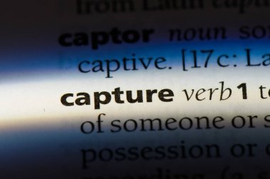 bir sözlüğü'ndeki sözcüğü yakalamak. yakalama kavramı.