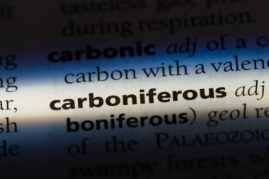 Carboniferous tek kelimeyle bir sözlük. Carboniferous kavramı.