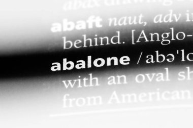 Abalone Word'de bir sözlük. Abalone kavramı.