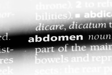 Karın Word'de bir sözlük. Karın kavramı.