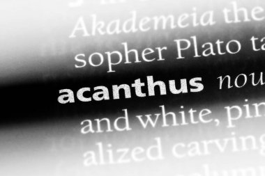 Acanthus Word'de bir sözlük. Acanthus kavramı.