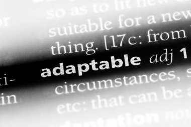 bir sözlüğü'ndeki uyarlanabilir sözcüğü. uyarlanabilir kavramı.