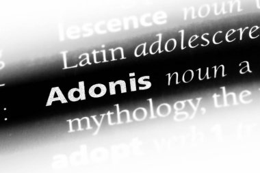 Adonis Word'de bir sözlük. Adonis kavramı.