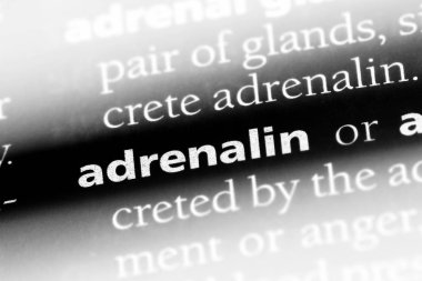 adreanlin sözcük sözlüğe. adreanlin kavramı.